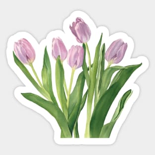 Pink tulips Sticker